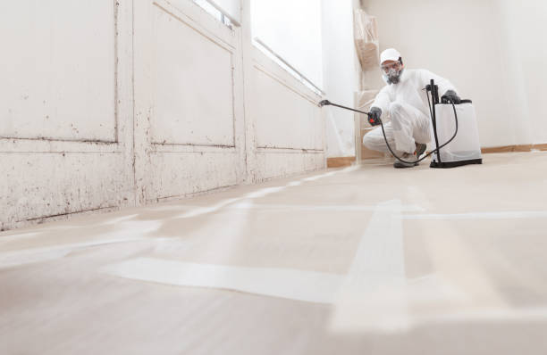 24/7 Emergency Mold Remediation experts in Frostburg, MD